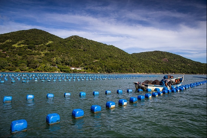 29 11 Aquicultura
