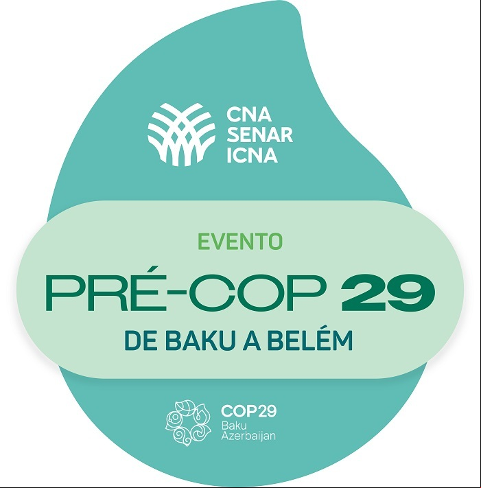 Cop 29 Selo