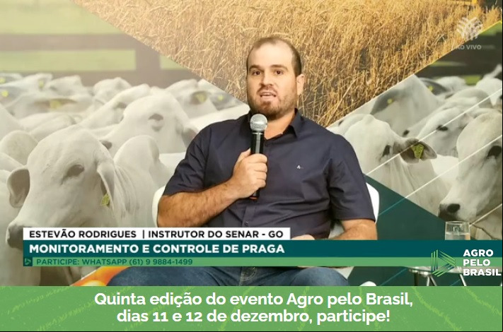 Estevao Estevao