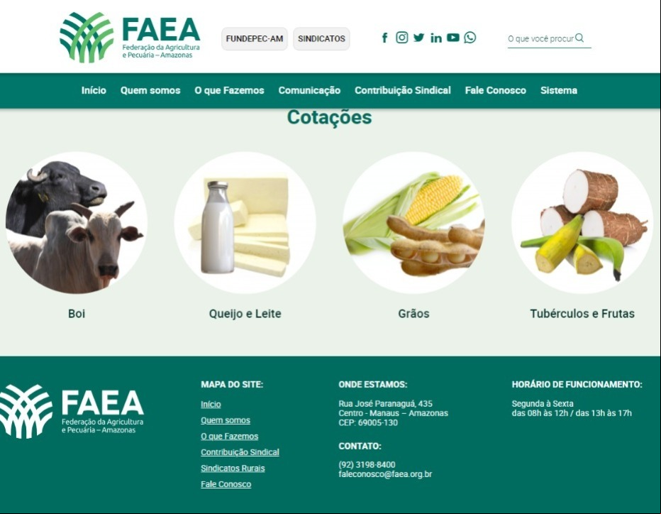 IMAGEM PARA SITE COTACAO