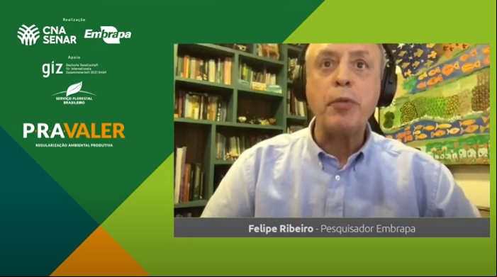 Felipe ribeiro Felipe ribeiro
