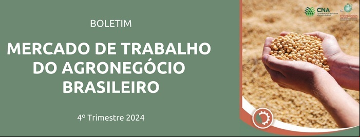 Comunicado Tecnico 60