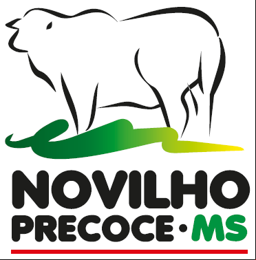 Imagem botão