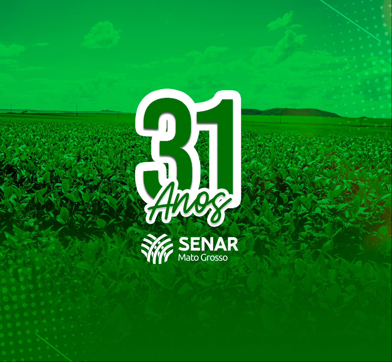 31 ANOS
