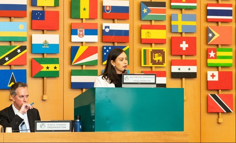 ANA CAROLINA3