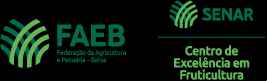 CF logos BA 01