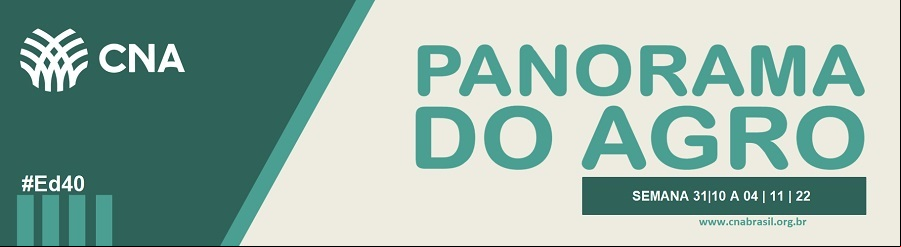 banner.png